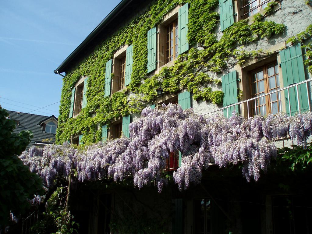La Maison De Concise (Adults Only) Thonon-les-Bains Esterno foto